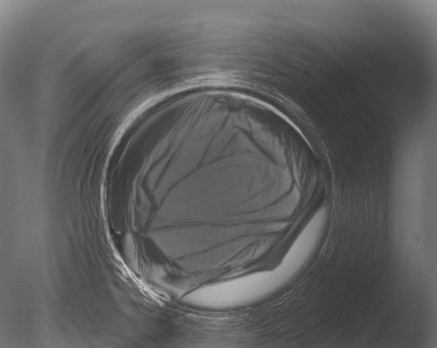 X0000085021334200704021417
