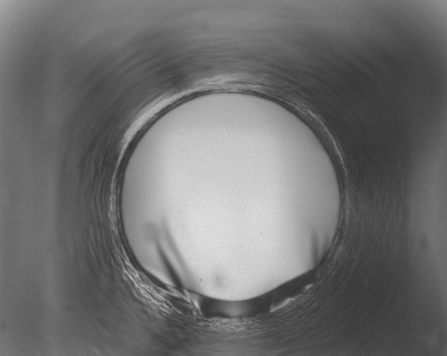 X0000085021336200704021417