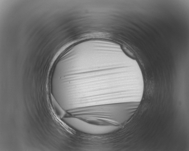 X0000085021339200704021417