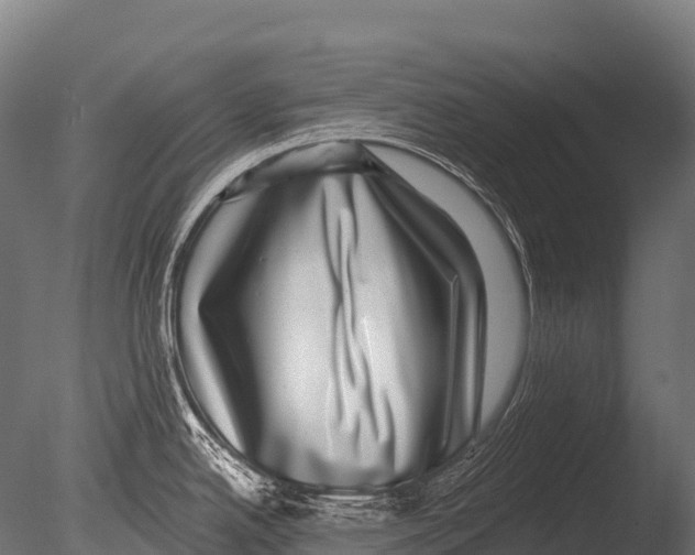 X0000085021342200704021417