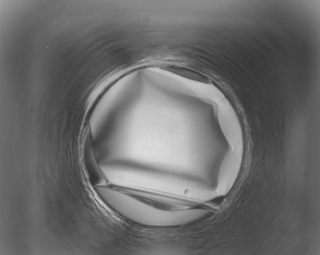 X0000085021344200704021417