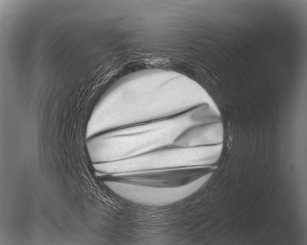 X0000085021345200704021416