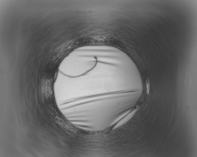 X0000085021347200704021416