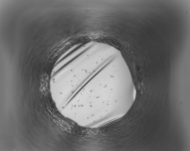 X0000085021349200704021416