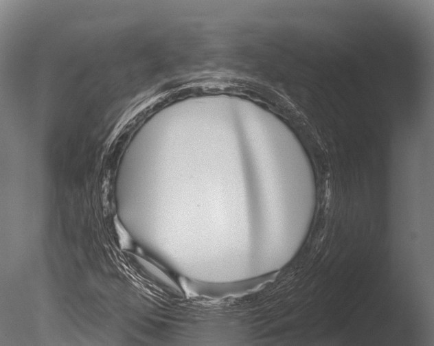 X0000085021352200704021416