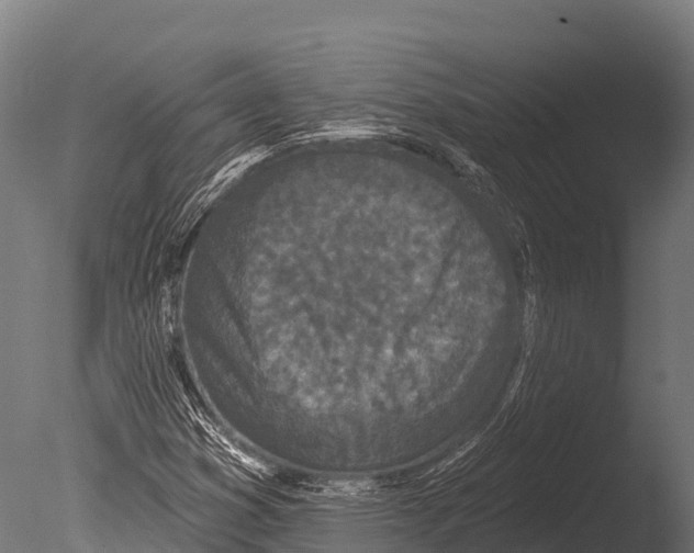 X0000085021353200704021416