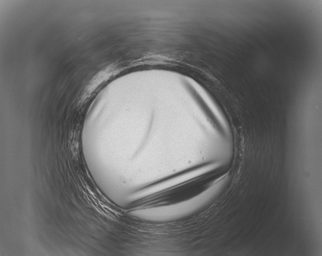 X0000085021355200704021416