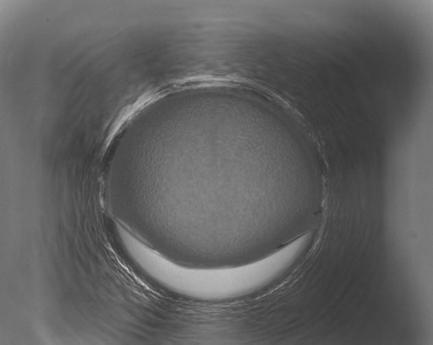 X0000085021357200704021416