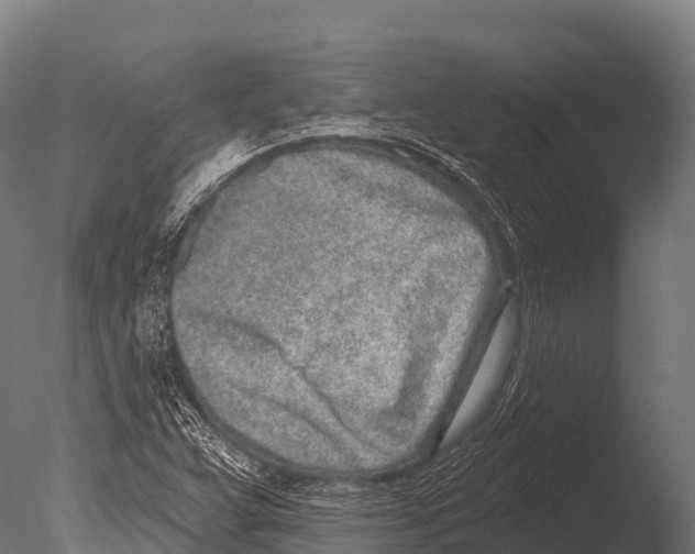 X0000085021359200704021416