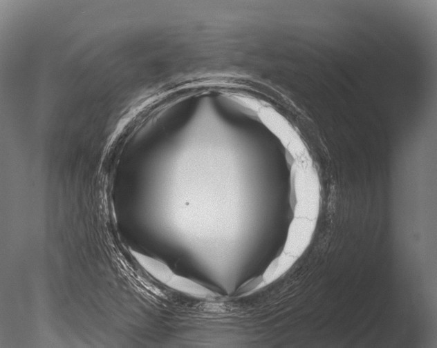 X0000085021360200704021416
