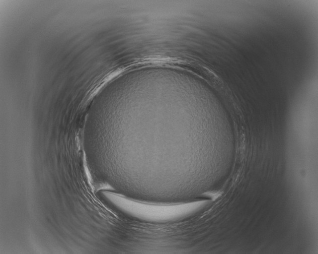 X0000085021361200704021416
