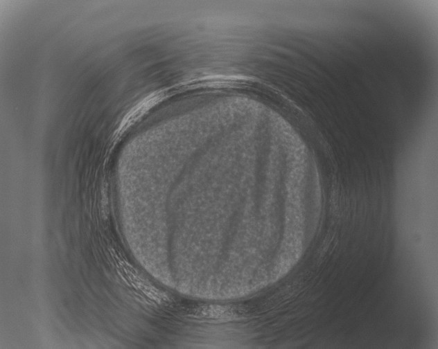 X0000085021362200704021416