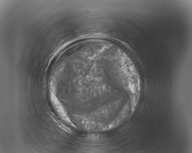 X0000085021364200704021416