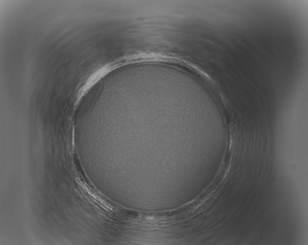 X0000085021365200704021416