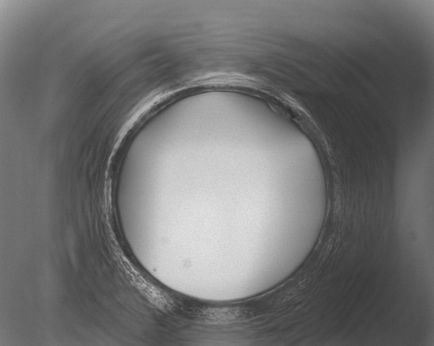 X0000085021376200704021416