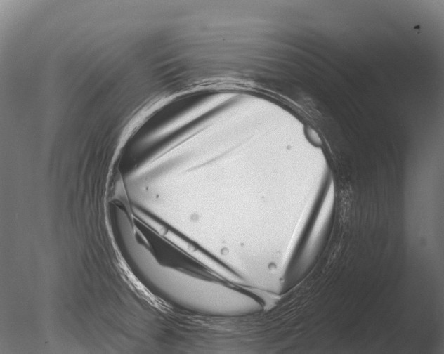 X0000085021379200704021416