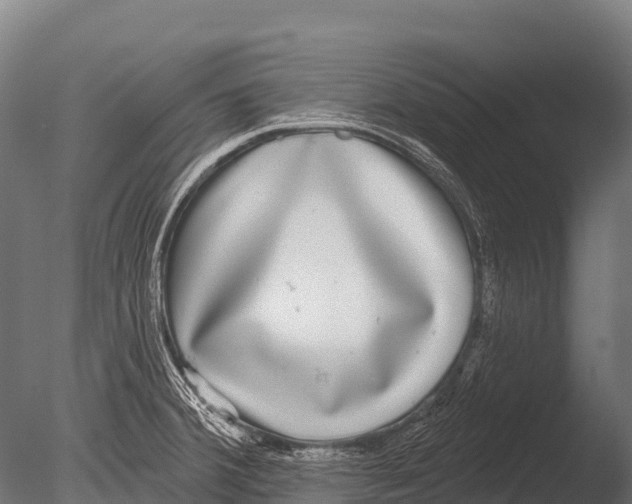 X0000085021380200704021416