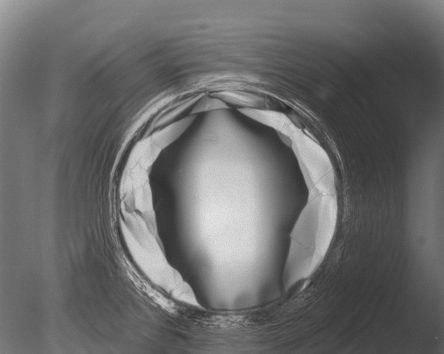X0000085021384200704021415