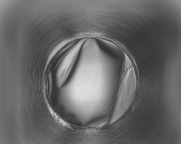 X0000085021389200704021415