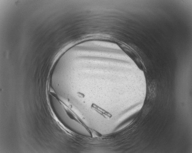 X0000085021391200704021415