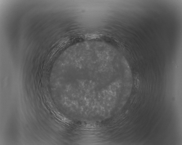 X0000085021393200704021414