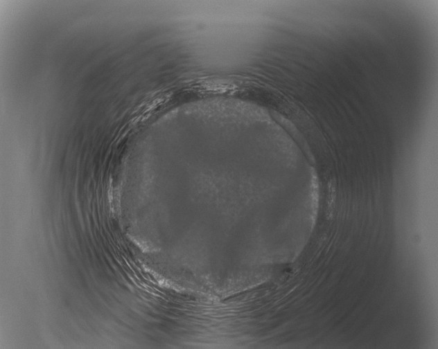 X0000085021394200704021415