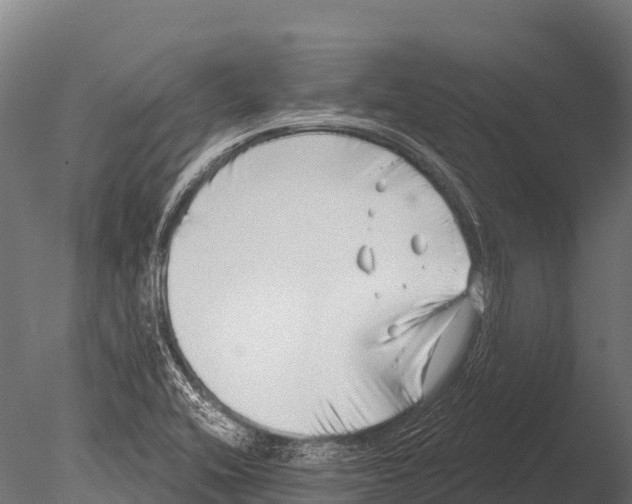 X0000085021416200704021415