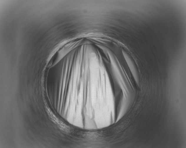 X0000085021422200704021415