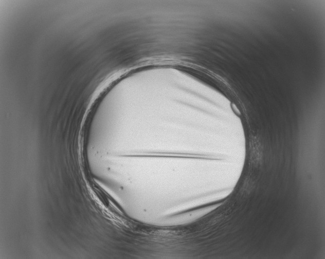 X0000085021424200704021415