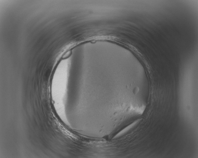X0000085021428200704021415