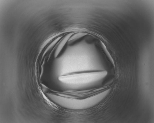 X0000085021430200704021415