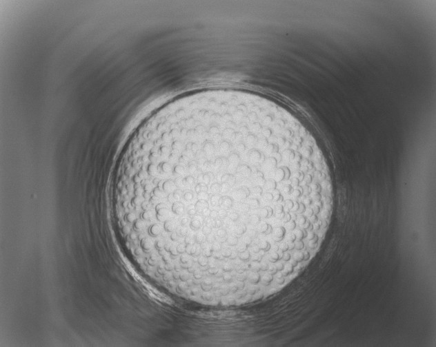 X0000085021432200704021415