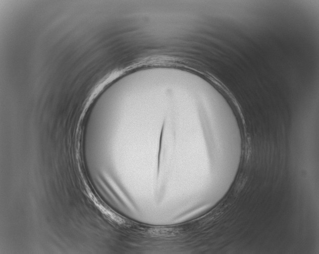 X0000085021437200704021415