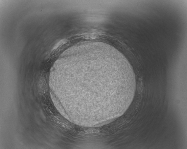 X0000085021446200704021414