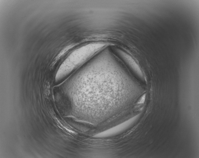 X0000085021449200704021414