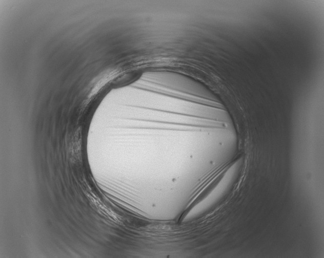 X0000085021450200704021414