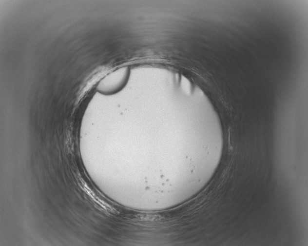 X0000085021452200704021414