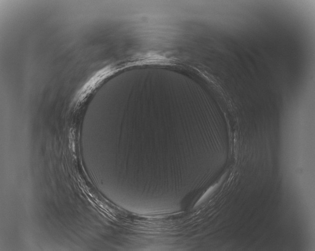 X0000085021455200704021414