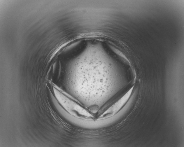 X0000085021457200704021414