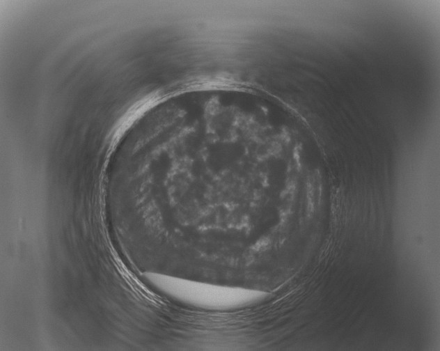 X0000085021463200704021414