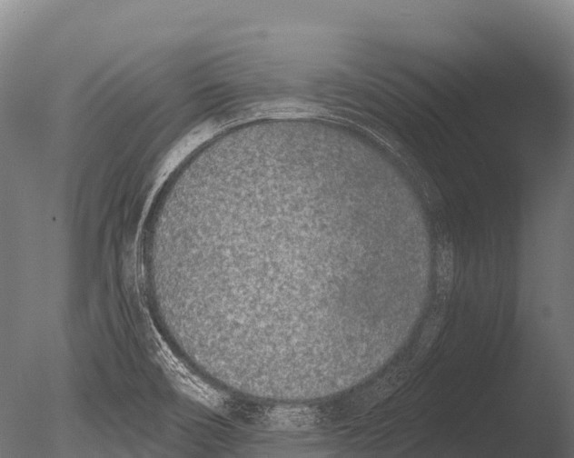 X0000085021466200704021414