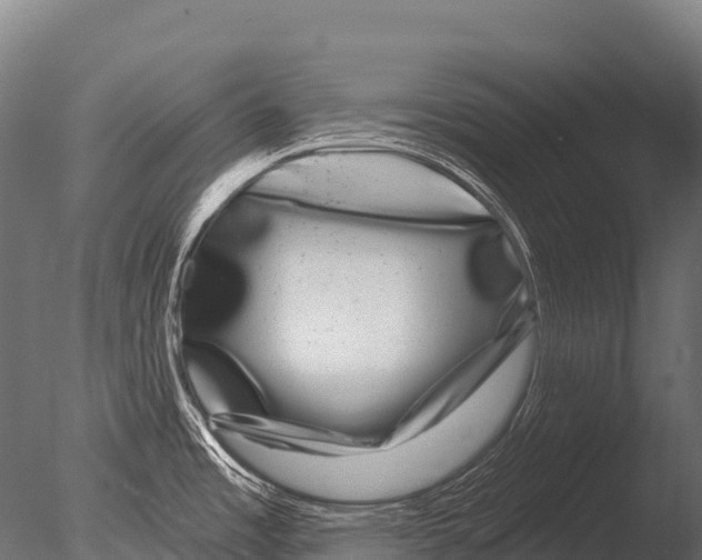 X0000085021485200704021414