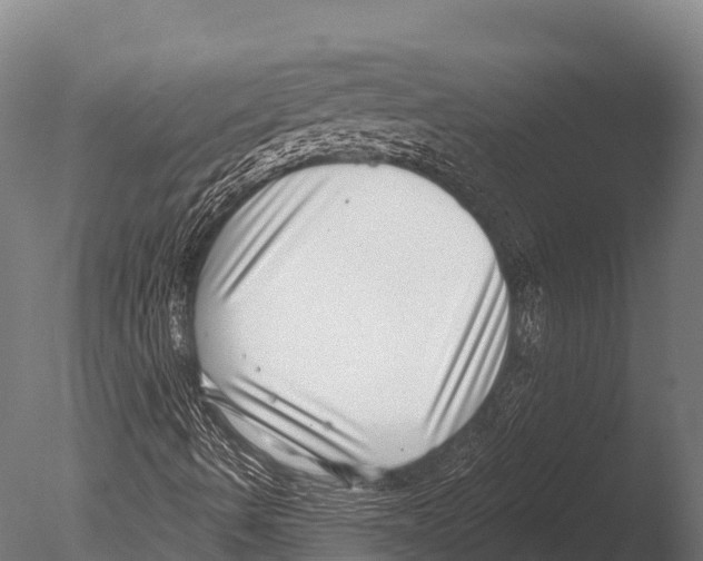 X0000085021490200704021413