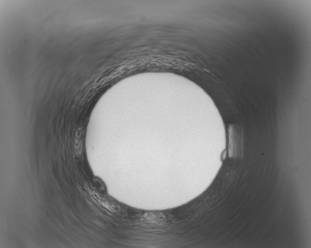 X0000085021491200704021413