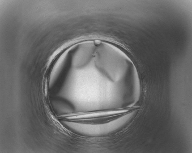 X0000085021510200704021413