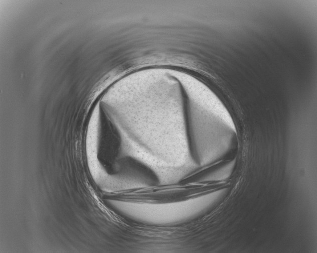 X0000085021513200704021413