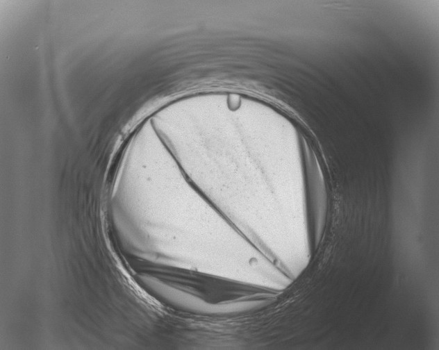 X0000085021525200704021413