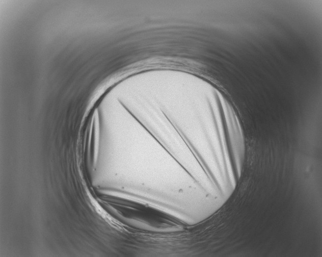 X0000085021531200704021414