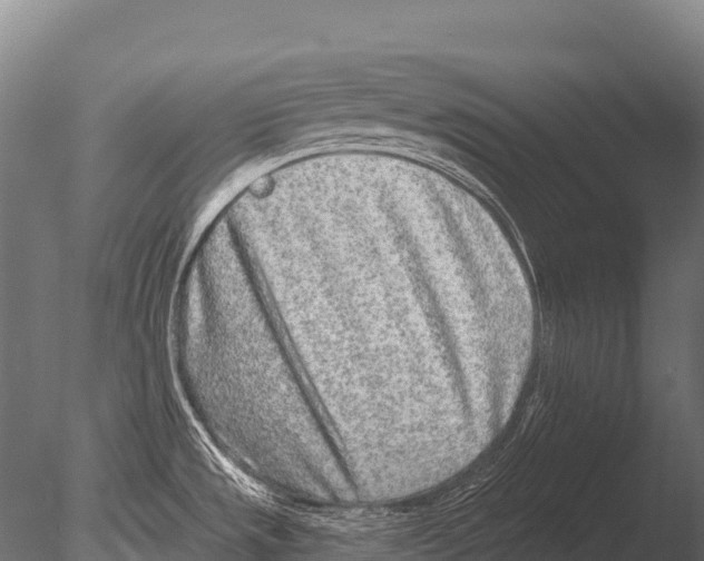 X0000085021533200704021414