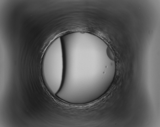 X0000085040002200703051034